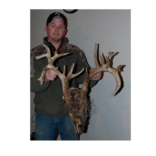 Found deer 09.jpg